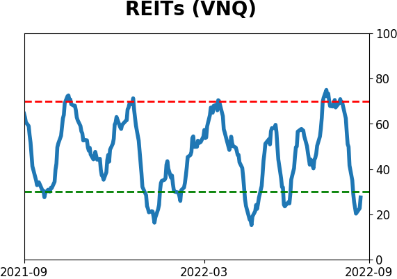 Daily Report : Institutions buy record bets on a crash