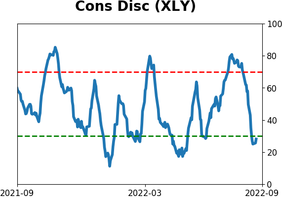Daily Report : Institutions buy record bets on a crash