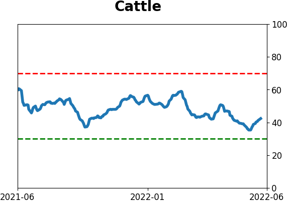 Daily Report : Record bets against stocks by small options traders