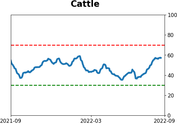 Daily Report : Institutions buy record bets on a crash