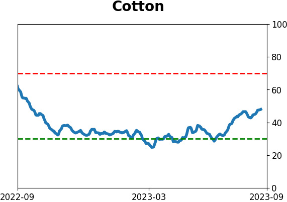 Daily Report : Energy investors are showing the opposite of panic